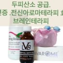 팜힐 네이버블로그