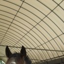 영웅목장 이미지