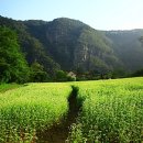 맹개마을 이미지