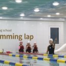 노블 스위밍랩 by 키즈 라이프 이미지