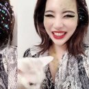 써니펫 이미지