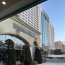 홍천 여행 소노벨 비발디파크 A동 스위트 클린형 취사불가, 주차, 체크인, 편의시설