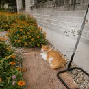 캄도건축사사무소