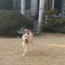 개명동물병원 이미지