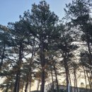 경기종묘사 이미지