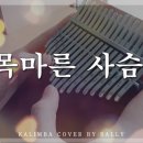 칼림바 연주 이미지
