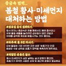 황사 미세먼지 대처법 이미지