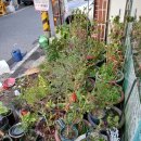 환희약국 이미지