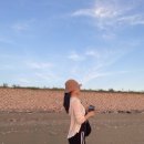 매향리 평화생태공원 이미지