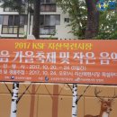 지산목련시장 이미지