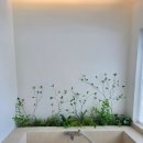 스테이수채화 이미지