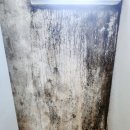 원탑바이오 이미지