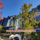 잠원동_45-20 이미지