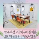 달빛냥살롱 네이버블로그