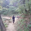 옥천 약수터 이미지