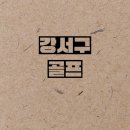 에버그린스크린골프 이미지