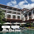 베트남 무이네 리조트 추천 더아남 수영장, 조식 후기