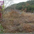 완월동282 이미지