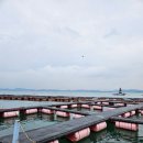 킹콩좌대 이미지