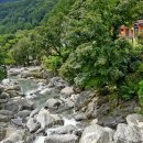 숲속다람쥐펜션 이미지