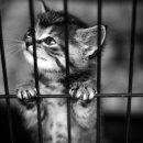 케이지메디칼 이미지