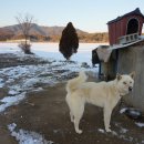 양덕저수지 둘레길 이미지