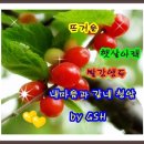 ♣♥☆♬함평국화축제 와 천안 자불상 동영상 편집 ~~청암 ♣♥☆♬ 이미지