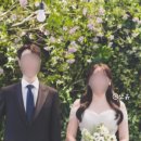 라 비 채 이미지