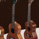 톡톡 우쿨렐레 이미지