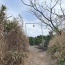 #댕댕댕 이미지