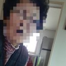 소야길 Daum카페