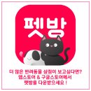 도그랩 이미지