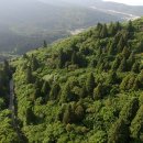 나로도연안여객선터미널 이미지