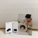 펫스페이스 | 우리 집에 자연스럽게 녹아든 펫테리어, 코글로 스페이스 (트라이앵글 등받이형) 🏡🐾