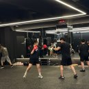 골든보이복싱GX Studio | 살 빠질까? 하버드가 증명한 '칼로리 폭탄' 운동의 진실! 🥊캔버스 복싱 스튜디오(CANVAS BOXING STUDIO)🥊