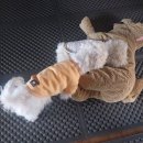 마이돈농부웃소 | 26年 2月 第4週 : 네 밑바닥에 못난 게 있더라도 그게 너의 전부는 아닐 테니까