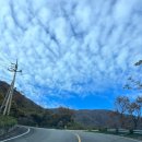 삼일슈퍼 이미지