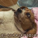 예 이미지