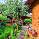 예솔이네집 이미지