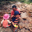 오실제민박 이미지