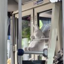 대전과학기술대학교 | 2025년 대전과학기술대학교 생활스포츠지도사 연수 후기