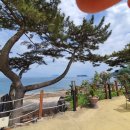 카누720애견풀빌라 이미지