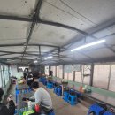 해녀식당 | 🐚 제주 김녕 해녀식당 ‘좀녀네집’ 방문 후기