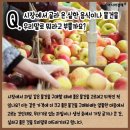 머드러기 이미지
