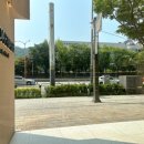 강남대로10길 14 이미지