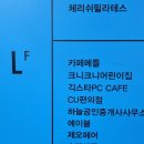 CAFE METTLE | [합정] 합정 두쫀쿠 맛집 "카페 메틀" 테이크 아웃 후기 ( 네이버 예약 후 픽업 )