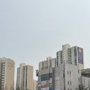 중앙공원.양지마을청구아파트 | 분당 재건축 선도지구 선정된 수내 양지마을 (금호, 한양, 청구) 임장