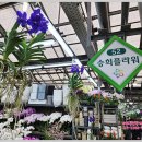 승희플라워 이미지