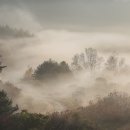 비밀의 정원 네이버블로그