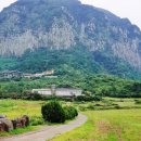 산방산 머물다 이미지